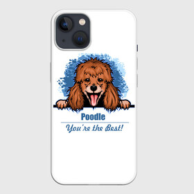 Чехол для iPhone 13 с принтом Собака Пудель (Poodle) в Курске,  |  | dog | dog poodle | m | miniature poodle | poodle | poodle puppies | royal poodle | белый пудель | год собаки | друг человека | животное | зверь | карликовый пудель | кинолог | королевский пудель | мини пудель | пёс | пудель