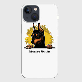 Чехол для iPhone 13 mini с принтом Мини Пинчер в Курске,  |  | animal | dog | german pinscher | min pi | miniature pinscher | pinscher | год собаки | друг человека | животное | зверь | кинолог | мин пин | миниатюрный пинчер | немецкий пинчер | пёс | пинчер | порода собак | собака