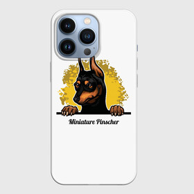 Чехол для iPhone 13 Pro с принтом Мини Пинчер в Курске,  |  | animal | dog | german pinscher | min pi | miniature pinscher | pinscher | год собаки | друг человека | животное | зверь | кинолог | мин пин | миниатюрный пинчер | немецкий пинчер | пёс | пинчер | порода собак | собака