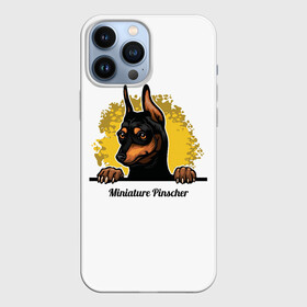 Чехол для iPhone 13 Pro Max с принтом Мини Пинчер в Курске,  |  | animal | dog | german pinscher | min pi | miniature pinscher | pinscher | год собаки | друг человека | животное | зверь | кинолог | мин пин | миниатюрный пинчер | немецкий пинчер | пёс | пинчер | порода собак | собака