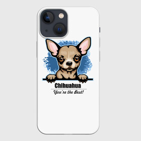 Чехол для iPhone 13 mini с принтом Собачка Чихуахуа в Курске,  |  | animal | chihuahua | dog | год собаки | друг человека | животное | зверь | карликовая собачка | карманная собачка | кинолог | маленькая собака | пёс | пёсик | собака чихуахуа | собаковод | четвероногий