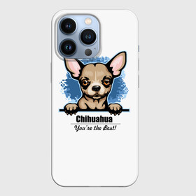 Чехол для iPhone 13 Pro с принтом Собачка Чихуахуа в Курске,  |  | animal | chihuahua | dog | год собаки | друг человека | животное | зверь | карликовая собачка | карманная собачка | кинолог | маленькая собака | пёс | пёсик | собака чихуахуа | собаковод | четвероногий