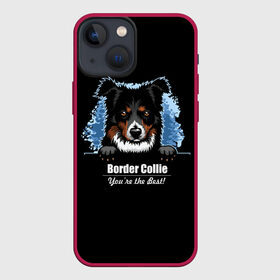 Чехол для iPhone 13 mini с принтом Бордер Колли (Border Collie) в Курске,  |  | Тематика изображения на принте: animal | border collie | dog | бордер колли | год собаки | друг человека | животное | зверь | ищейка | кинолог | кость | овчарка | пастушья собака | пёс | порода собак | собака бордер колли | собаковод