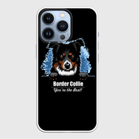 Чехол для iPhone 13 Pro с принтом Бордер Колли (Border Collie) в Курске,  |  | animal | border collie | dog | бордер колли | год собаки | друг человека | животное | зверь | ищейка | кинолог | кость | овчарка | пастушья собака | пёс | порода собак | собака бордер колли | собаковод