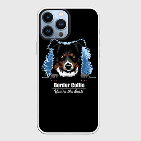 Чехол для iPhone 13 Pro Max с принтом Бордер Колли (Border Collie) в Курске,  |  | animal | border collie | dog | бордер колли | год собаки | друг человека | животное | зверь | ищейка | кинолог | кость | овчарка | пастушья собака | пёс | порода собак | собака бордер колли | собаковод