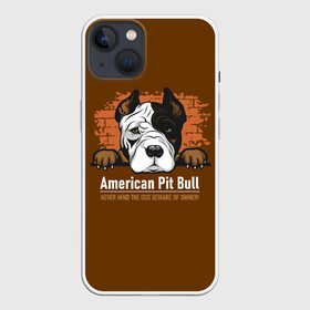 Чехол для iPhone 13 с принтом Американский Питбультерьер (Pit Bull Terrier) в Курске,  |  | american pit bull terrier | boxer | bulldog | fighting dog | pit bull | американский питбультерьер | бойцовская собака | бойцовский пес | боксер | бульдог | волкодав | друг человека | кинолог | пес | питбуль | питбультерьер