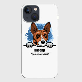 Чехол для iPhone 13 mini с принтом Собака Басенджи в Курске,  |  | african dog | animal | basenji | congo terrier | dog | африканская собака | басенджи | год собаки | друг человека | животное | зверь | кинолог | конго терьер | пёс | собака басенджи | собаковод | четвероногий