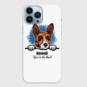 Чехол для iPhone 13 Pro Max с принтом Собака Басенджи в Курске,  |  | african dog | animal | basenji | congo terrier | dog | африканская собака | басенджи | год собаки | друг человека | животное | зверь | кинолог | конго терьер | пёс | собака басенджи | собаковод | четвероногий