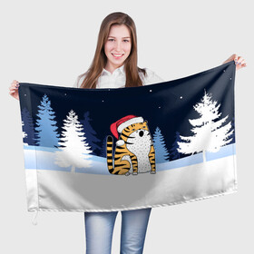 Флаг 3D с принтом Удивленный тигр 2022 в Курске, 100% полиэстер | плотность ткани — 95 г/м2, размер — 67 х 109 см. Принт наносится с одной стороны | 2022 | год тигра | новый год | новый год 2022 | символ года | тигр | тигренок | тигрица | тигры