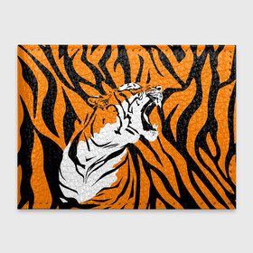 Обложка для студенческого билета с принтом Тигровый окрас в Курске, натуральная кожа | Размер: 11*8 см; Печать на всей внешней стороне | 2022 | aggressive | brindle color | fangs | in profile | new year | open mouth | predator | tiger | year of the tiger | агрессивный | в профиль | год тигра | клыки | новый год | открытая пасть | тигр | тигровый окрас | хищник