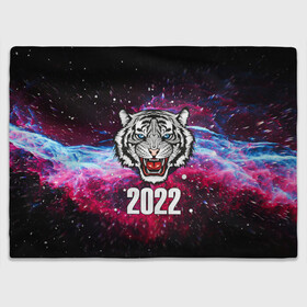 Плед 3D с принтом ЧЁРНЫЙ ТИГР НОВЫЙ ГОД 2022   GRAY TIGER NEW YEAR в Курске, 100% полиэстер | закругленные углы, все края обработаны. Ткань не мнется и не растягивается | Тематика изображения на принте: 2022 | beast | merry christmas | new year | red bow | santa hat | snow | tiger | winter | winter is coming | year of the tiger | год тигра | дед мороз | животные | звери | зверь | зима | зима 2022 | зима близко | новог | новогодни