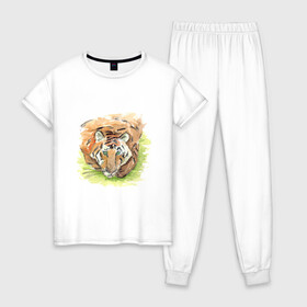 Женская пижама хлопок с принтом Портрет тигра с зелёными глазами в Курске, 100% хлопок | брюки и футболка прямого кроя, без карманов, на брюках мягкая резинка на поясе и по низу штанин | Тематика изображения на принте: 2022 | глаза | животное | зверь | китайский календарь | кошка | новый год | оранжевый | полоски | символ года | тигр | хищник