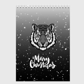 Скетчбук с принтом Merry Christmas Год Тигра 2022. в Курске, 100% бумага
 | 48 листов, плотность листов — 100 г/м2, плотность картонной обложки — 250 г/м2. Листы скреплены сверху удобной пружинной спиралью | 2022 | happy new year | merry christmas | год тигра | зима близко | нг | новогодний | новогодний тигр | новогодняя символика | новый год | новый год 2022 | рождество | символ 2022 года | снег | снежинки | тигр