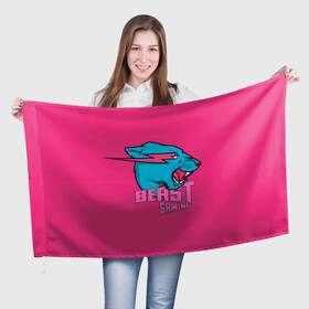 Флаг 3D с принтом Mr Beast Gaming Full Print (Pink edition) в Курске, 100% полиэстер | плотность ткани — 95 г/м2, размер — 67 х 109 см. Принт наносится с одной стороны | gamer | games | gaming | mr beast | mrbeast | youtube | блогеры | игры | мистер бист | ютуберы
