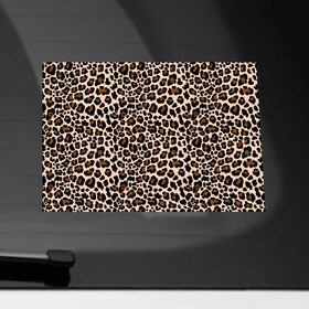 Наклейка на автомобиль с принтом Леопардовые Пятна в Курске, ПВХ |  | jaguar | leopard | ocelot | predator | гепард | дикая кошка | животное | зверь | кот | леопард | леопардовые пятна | оцелот | хищная кошка | хищник | ягуар