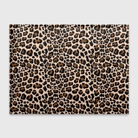 Обложка для студенческого билета с принтом Леопардовые Пятна в Курске, натуральная кожа | Размер: 11*8 см; Печать на всей внешней стороне | jaguar | leopard | ocelot | predator | гепард | дикая кошка | животное | зверь | кот | леопард | леопардовые пятна | оцелот | хищная кошка | хищник | ягуар
