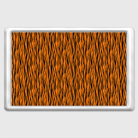 Магнит 45*70 с принтом Тигровые Полосы в Курске, Пластик | Размер: 78*52 мм; Размер печати: 70*45 | animal | beast | cat | predator | tiger | амурский тигр | белый тигр | год тигра | животное | зверь | кот | полосатая кошка | саблезубый тигр | тигр | хищник | царь джунглей | шерхан