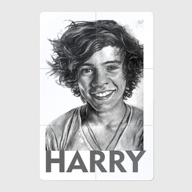 Магнитный плакат 2Х3 с принтом Harry  Styles в Курске, Полимерный материал с магнитным слоем | 6 деталей размером 9*9 см | Тематика изображения на принте: harry edward styles | британец | бритпопо | гарри стайлс | дирекшин | дирекшины