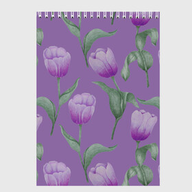 Скетчбук с принтом Фиолетовые тюльпаны с зелеными листьями в Курске, 100% бумага
 | 48 листов, плотность листов — 100 г/м2, плотность картонной обложки — 250 г/м2. Листы скреплены сверху удобной пружинной спиралью | Тематика изображения на принте: 8 марта | flowers | leaves | nature | tulips | ботаническая иллюстрация | день рождения | зеленый | листья | природа | растения | тюльпаны | фиолетовый | цветы