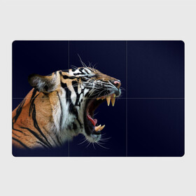 Магнитный плакат 3Х2 с принтом Оскал тигра | Большая кошка в Курске, Полимерный материал с магнитным слоем | 6 деталей размером 9*9 см | 2022 | big teeth | fangs | grin | tiger | tigr | tigris | большая кошка | большие зубы | клыки | новый год | оскалиться | острые клыки | полосатая кошка | скалить | скалить зубы | тигр