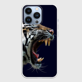 Чехол для iPhone 13 Pro с принтом Оскал тигра | Большая кошка в Курске,  |  | 2022 | big teeth | fangs | grin | tiger | tigr | tigris | большая кошка | большие зубы | клыки | новый год | оскалиться | острые клыки | полосатая кошка | скалить | скалить зубы | тигр