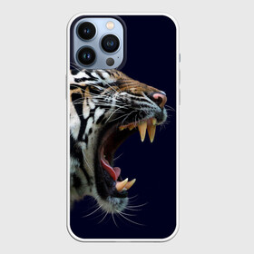 Чехол для iPhone 13 Pro Max с принтом Оскал тигра | Большая кошка в Курске,  |  | 2022 | big teeth | fangs | grin | tiger | tigr | tigris | большая кошка | большие зубы | клыки | новый год | оскалиться | острые клыки | полосатая кошка | скалить | скалить зубы | тигр