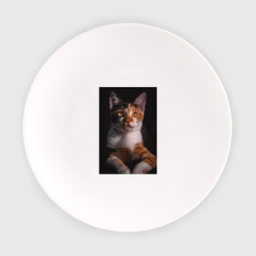Тарелка с принтом умный взгляд кота в Курске, фарфор | диаметр - 210 мм
диаметр для нанесения принта - 120 мм | Тематика изображения на принте: животные | звери | кот | коты | умный взгляд кота