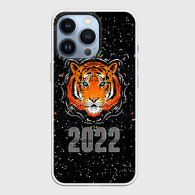 Чехол для iPhone 13 Pro с принтом Голова Тигра Символ 2022 в Курске,  |  | 2022 | black | cat | christmas | merry | new year | tiger | xmas | водяной | год тигра | животные | кот | кошки | новый год | паттерн | полосатый | рождество | снег | снежинки | тигры | узор | цветы | черный