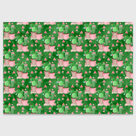 Поздравительная открытка с принтом Кактусы в горшках green в Курске, 100% бумага | плотность бумаги 280 г/м2, матовая, на обратной стороне линовка и место для марки
 | горшки | кактус | кактусы | колючий | колючки | цветок