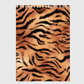 Скетчбук с принтом Шкура тигра текстура в Курске, 100% бумага
 | 48 листов, плотность листов — 100 г/м2, плотность картонной обложки — 250 г/м2. Листы скреплены сверху удобной пружинной спиралью | 2022 | год тигра | новый год | новый год 2022 | символ года | тигр | тигренок | тигрица | тигры