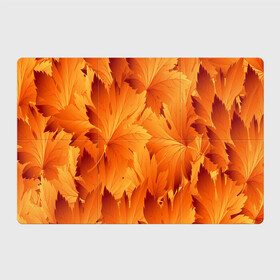 Магнитный плакат 3Х2 с принтом Кленовая сладость в Курске, Полимерный материал с магнитным слоем | 6 деталей размером 9*9 см | желтый | клен | кленовый лист | лист | листопад | листья | оранжевый | осень