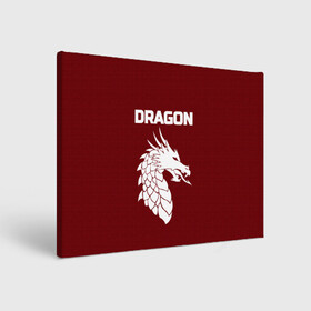 Холст прямоугольный с принтом WHITE_DRAGON в Курске, 100% ПВХ |  | dragon | white | white dragon | белый | белый дракон | дракон | дракон вектор