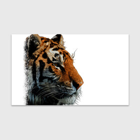 Бумага для упаковки 3D с принтом ДУХ ДИКОЙ СИБИРИ в Курске, пластик и полированная сталь | круглая форма, металлическое крепление в виде кольца | 2022 | amur tiger | beast | fangs | happy new year | merry christmas | new year | predator | snow | stars | stern grin | stern look | winter | year of the tiger | амурский тигр | год тигра | дух | зверь | зима | клыки | новый год | сибирь | снег