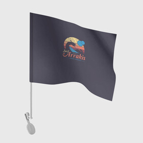Флаг для автомобиля с принтом Арракис Дюна Vintage theme в Курске, 100% полиэстер | Размер: 30*21 см | dune | арракис | атрейдесы | дом атрейдесов | дюна | сага | фримены | харконноны | червы