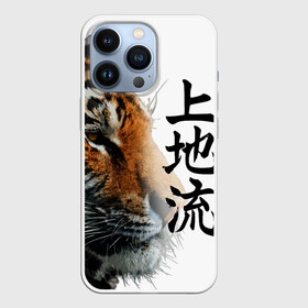 Чехол для iPhone 13 Pro с принтом ТИГР | НАДПИСЬ НА КИТАЙСКОМ в Курске,  |  | 2022 | chinese character | framed | new year | ornament | powerful | strong | tiger | year of the tiger | yellow look | амурски | год тигра | дикий | жёлтый взгляд | китайский иероглиф | мощный | надпись на китайском | новый год | орнамент 