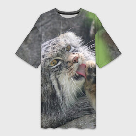 Платье-футболка 3D с принтом Манул  Лапка в Курске,  |  | cat | cats | всеядный | детеныш | дикие | звери | зверята | кот | котик | лапка | манул | медведь | милый | природа | хищник
