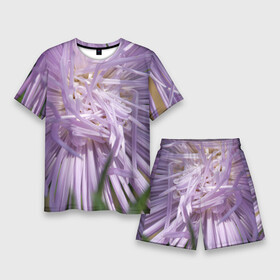 Мужской костюм с шортами 3D с принтом Астра в стиле хаос в Курске,  |  | астра | беспорядок | дача | игла | лепесток | лето | природа | растение | тонкий | участок | фазенда | фиолетовый | хоас | цветение | цветовод | цветоводство | цветок | цветы