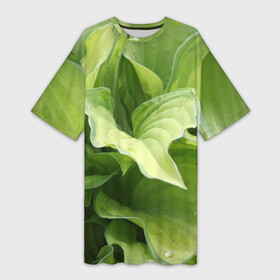 Платье-футболка 3D с принтом Зеленые листья после дождя в Курске,  |  | абстракция | вода | дача | дождь | зеленая | зеленый | изгиб | камуфляж | капля | лето | лист | листок | листья | маскировка | природа | растение | участок | фазенда | цветовод | цветоводство