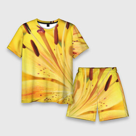 Мужской костюм с шортами 3D с принтом Оранжево желтая лилия в Курске,  |  | дача | желтый | красота | лепесток | лето | лилия | огород | опыление | оранжевый | пестик | природа | растение | сад | тычинка | участок | фазенда | цветение | цветовод | цветоводство | цветок | цветы