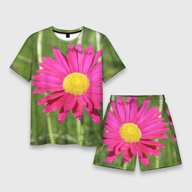 Мужской костюм с шортами 3D с принтом Гадай на розовой ромашке в Курске,  |  | декоративная | декоративный | лепесток | лето | природа | растение | розовая | розовый | ромашка | сад | садовая | цветение | цветовод | цветоводство | цветок | цветы