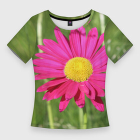 Женская футболка 3D Slim с принтом Гадай на розовой ромашке в Курске,  |  | декоративная | декоративный | лепесток | лето | природа | растение | розовая | розовый | ромашка | сад | садовая | цветение | цветовод | цветоводство | цветок | цветы