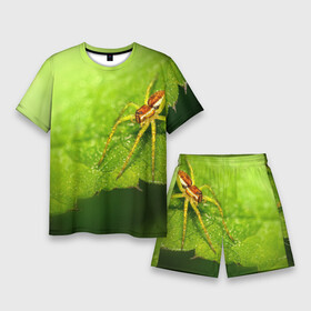 Мужской костюм с шортами 3D с принтом Страшный паук на зеленом листе в Курске,  |  | arachnid | horror | арахнид | зеленый | лапы | лист | листва | монстр | насекомое | паук | пауки | природа | ужас | фобия | хоррор | чудовище | щупальца