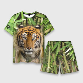 Мужской костюм с шортами 3D с принтом Матёрый тигр в зарослях бамбука в Курске,  |  | Тематика изображения на принте: eyes | jungle | moustache | muzzle | nose | skin | tiger | глаза | джунгли | нос | тигр | усы