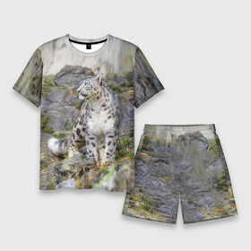 Мужской костюм с шортами 3D с принтом Снежный барс среди скал в Курске,  |  | Тематика изображения на принте: mountains | muzzle | nature | paws | rocks | snow leopard | tail | барс | горы | камни | лапы | природа | скалы | хвост
