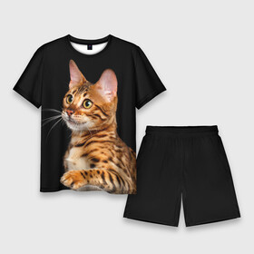 Мужской костюм с шортами 3D с принтом Бенгальский котёнок на чёрном фоне в Курске,  |  | bengal | cat | cats | kitty | бенгал | бенгальская | бенгальская кошка | бенгальские | бенгальский | кот | котёнок | котята | кошка | леопард | леопардовая | леопардовый