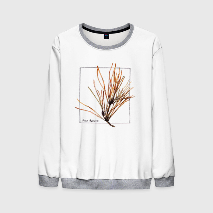 Мужской свитшот 3D Pinus Sylvestris фото