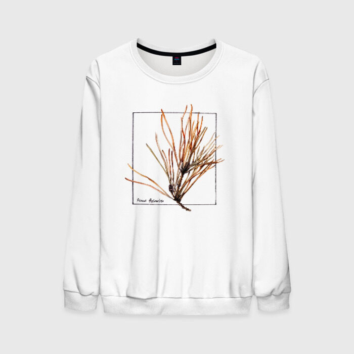 Мужской свитшот 3D Pinus Sylvestris фото