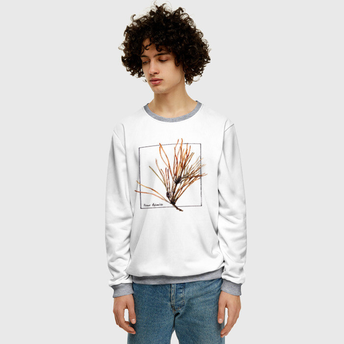 Мужской свитшот 3D Pinus Sylvestris фото