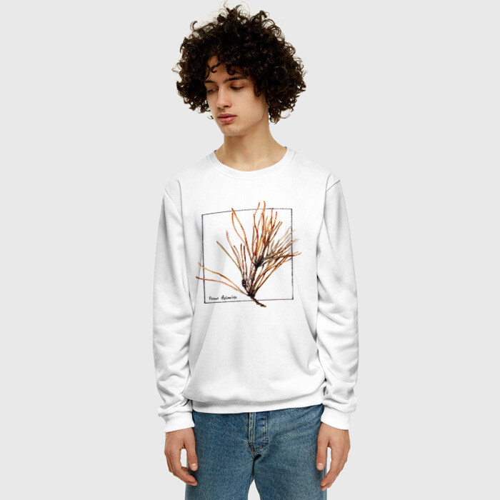 Мужской свитшот 3D Pinus Sylvestris фото