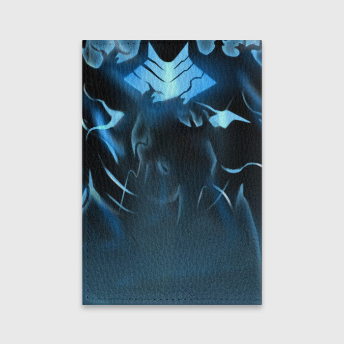 Обложка для паспорта матовая кожа Solo leveling Manga фото